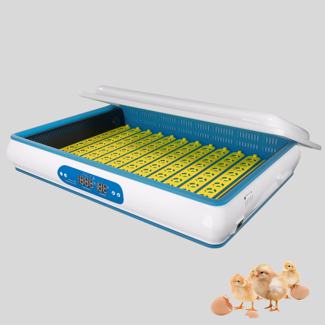Digital Egg Incubator – Automatic Hatching Solution