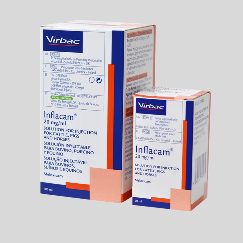 Inflacam Injection 100ml – Fast-Acting Anti-Inflammatory for Livestock