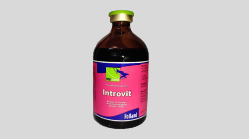 Introvit Suspension 100ml – Essential Vitamins & Minerals for Livestock
