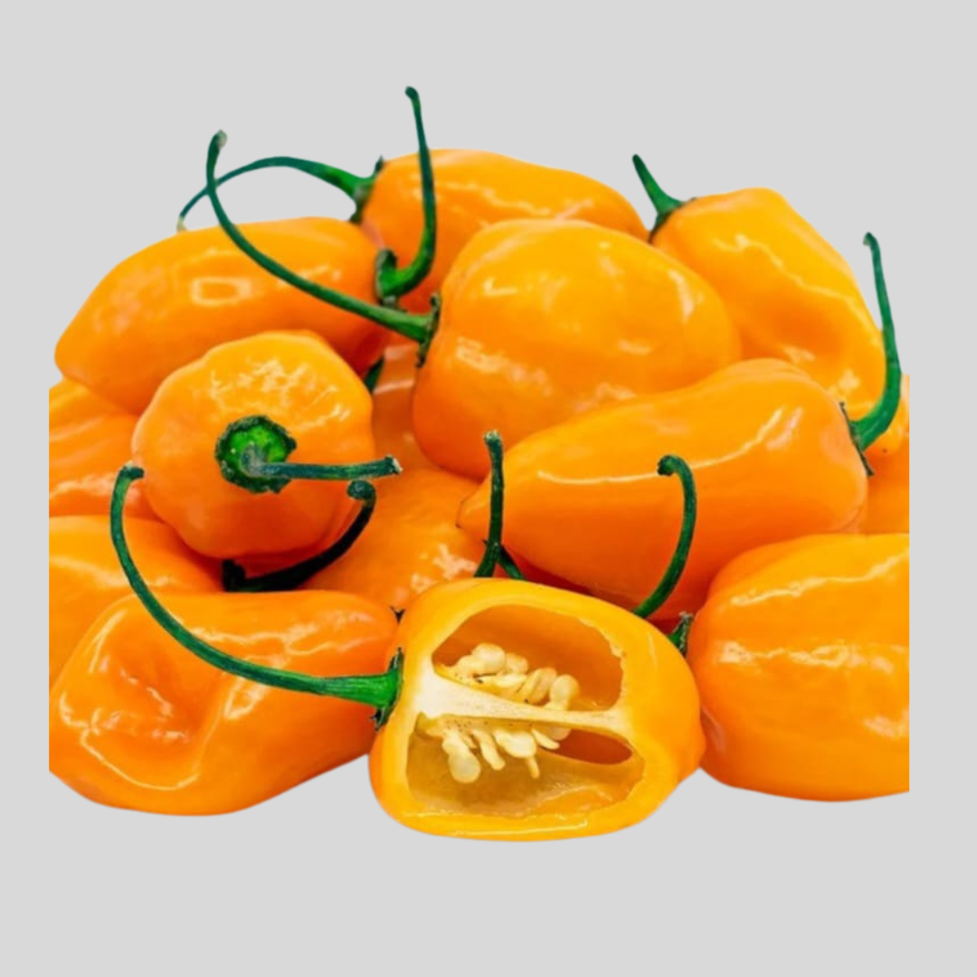 Pepper (Ojenma) Seeds – Medium-Heat, Flavorful Vegetable Seeds for Planting in Ghana