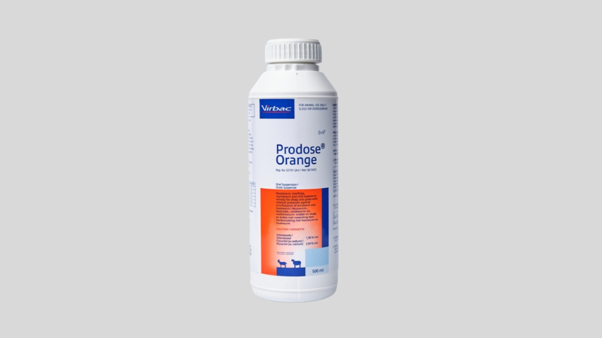 Prodose Orange 1L – Broad-Spectrum Dewormer for Sheep & Goats