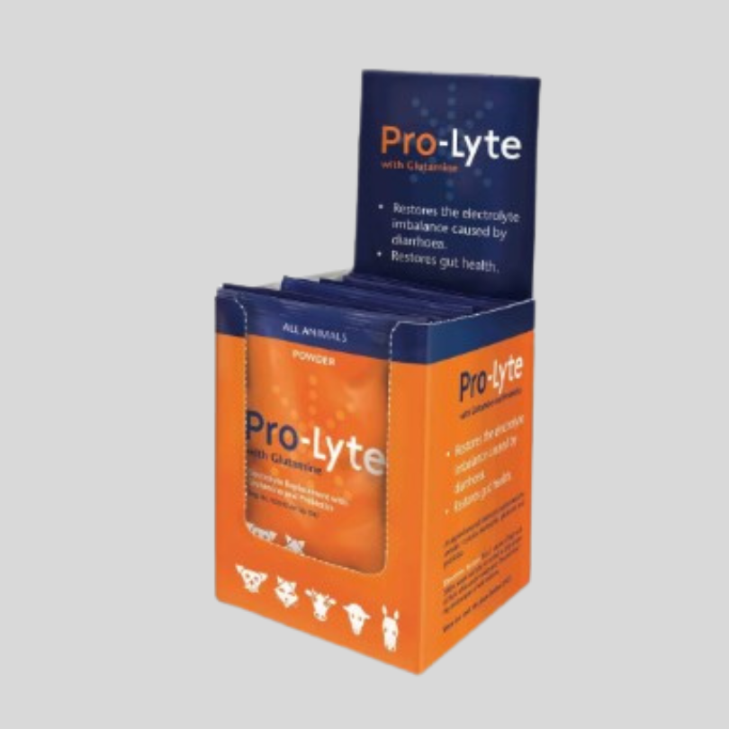 Prolyte – Apple-Flavoured Electrolyte & Recovery Supplement for Livestock