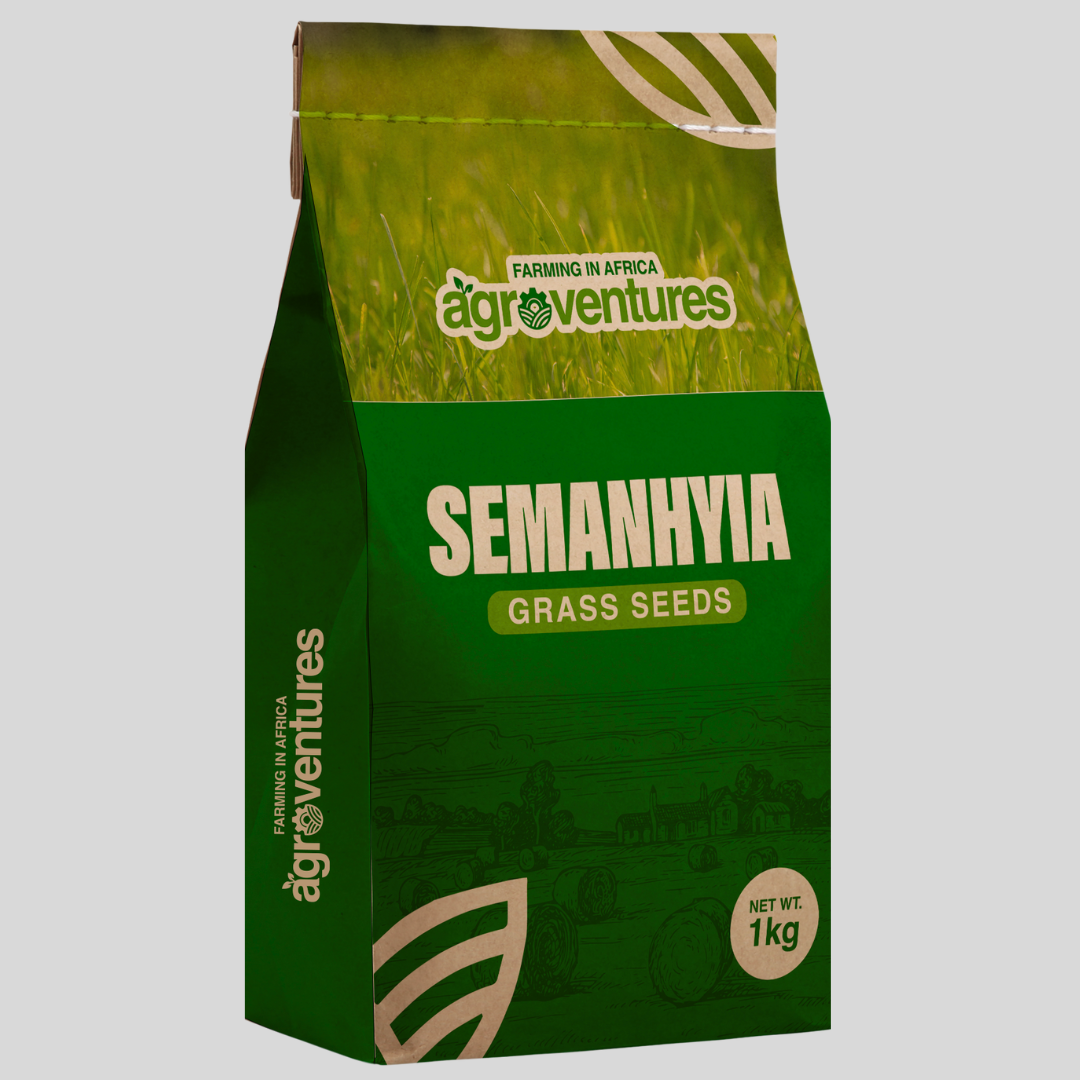 Semanhyia Grass Seed SF02 – Fast-Growing, Heat-Tolerant Grass for Lawns & Pastures