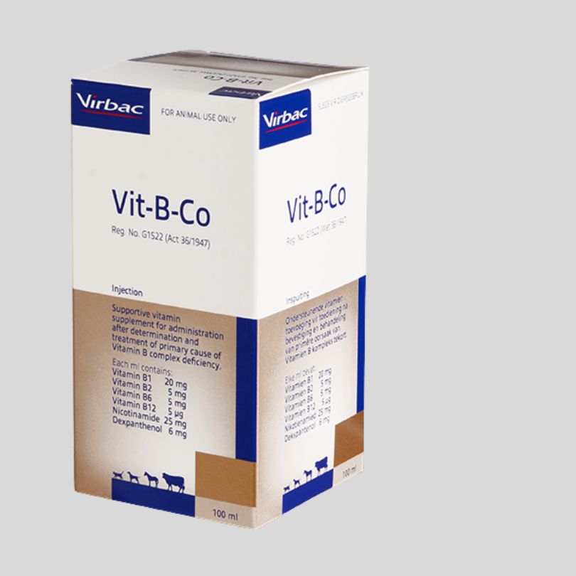 Vitamin B Complex for Livestock – Boost Health, Energy & Productivity