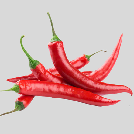Fresh Chilli Pepper – Bold Flavor & Natural Heat for Cooking