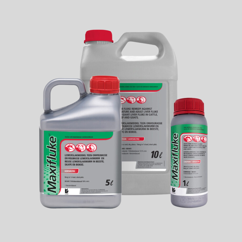 Maxifluk – Triclabendazole Liver Fluke Remedy for Cattle, Sheep & Goats