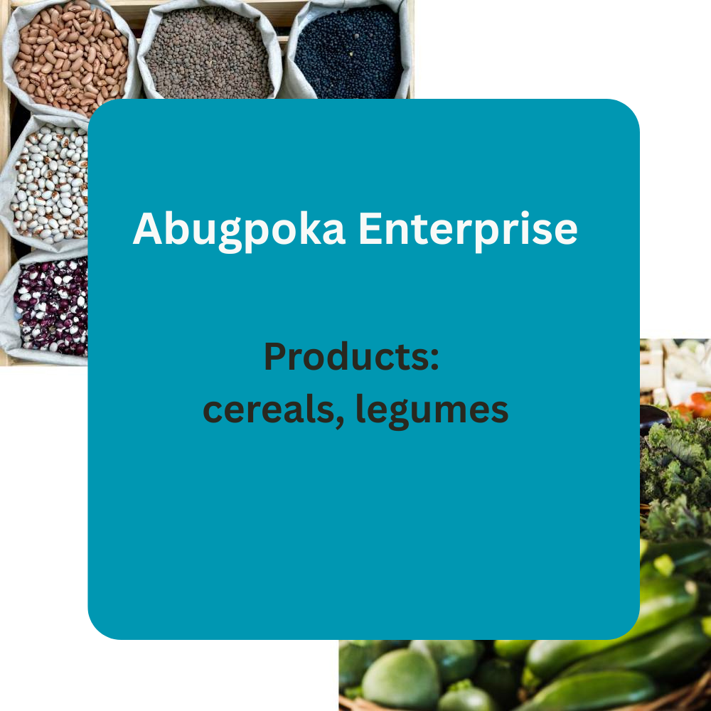Abugpoka Enterprise – Premium Cereals & Legumes