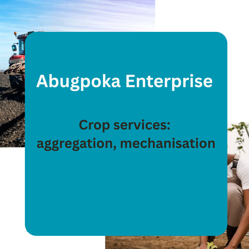 Abugpoka Enterprise – Crop Services (Aggregation & Mechanisation)