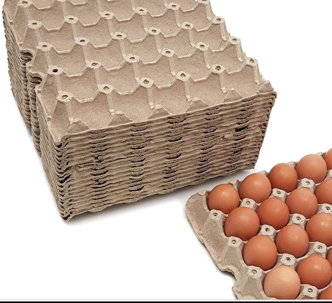 Poultry Hub – Paper Crate – 100 Pieces per Bundle