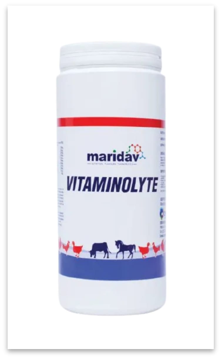 Poultry Hub – Vitaminolyte – 100g Water-Soluble Supplement