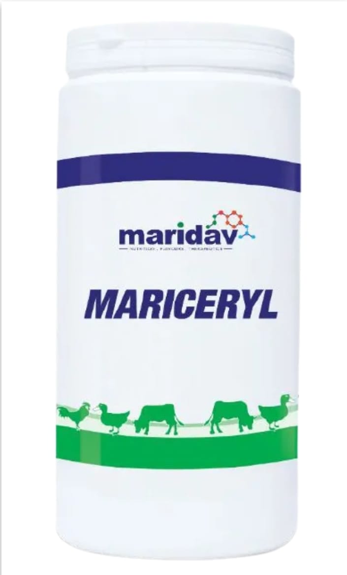 Poultry Hub – MARICERYL – 1kg Broad-Spectrum Antibacterial Powder