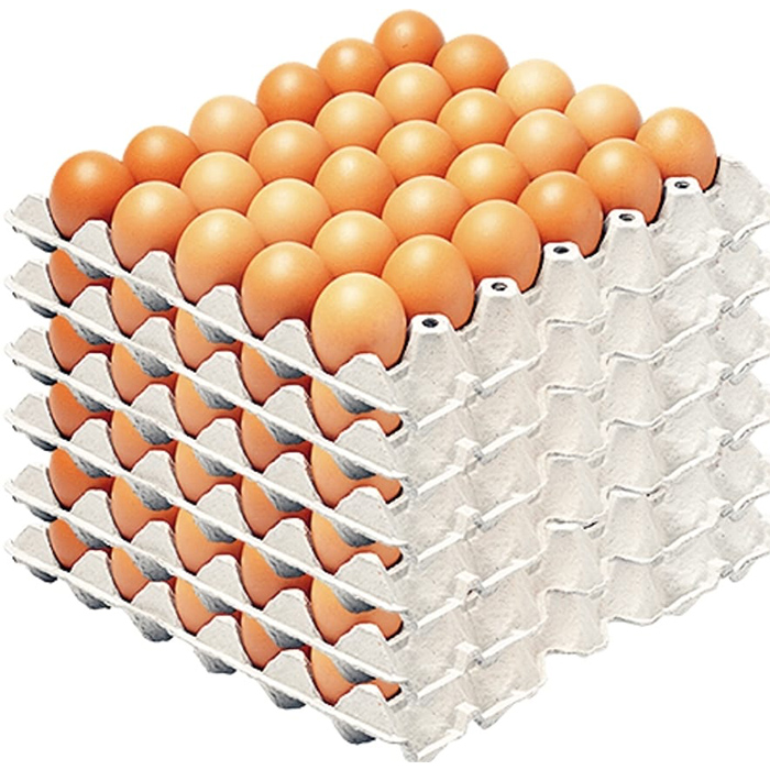 Poultry Hub – Small Size Table Eggs – 14 Crates per Box