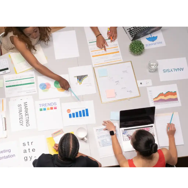 teamprogrammers - Digital Marketing