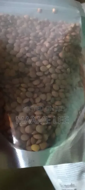 Organic Green Lentils - Fiber-Rich Legume for Sustained Energy