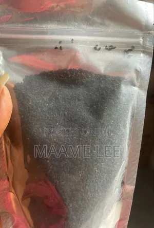 Organic Black Seeds (Nigella Sativa) - Immune Boosting Super Seed