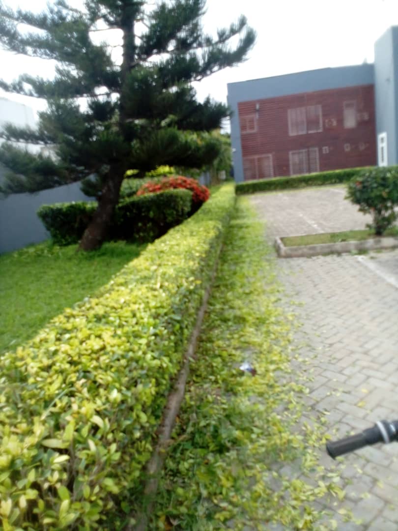 Kwame - Gardening Services