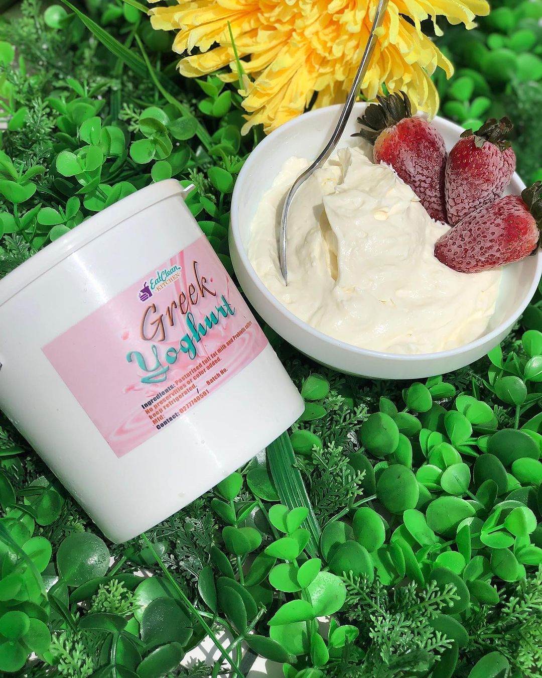 Eat Clean Kitchen's Freshly Whisked Greek Yogurt Style