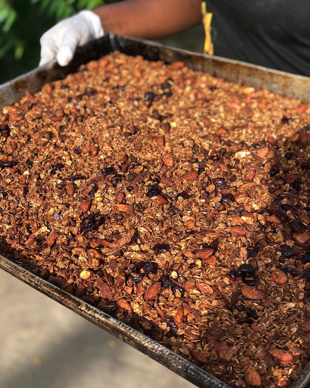 Eat Clean Kitchen's Oil-Free Chocolate Granola