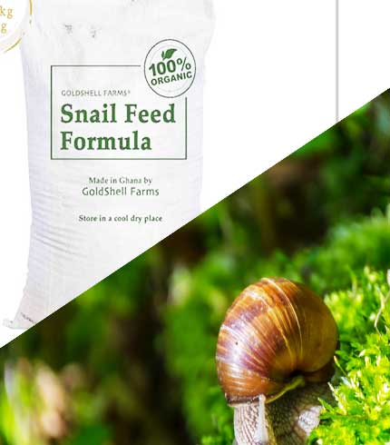 Enhanced Snail Feed - Calcium Fortified, Premium Growth & Reproduction Formula