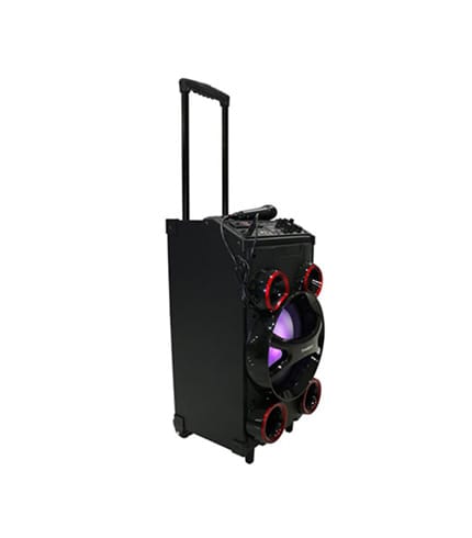 NASCO 120-Watt Audio System with Powerful Bass Radiator