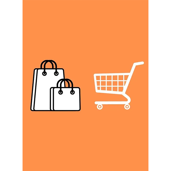 Tagsmann - Ecommerce Website Design Course (NO CODING)