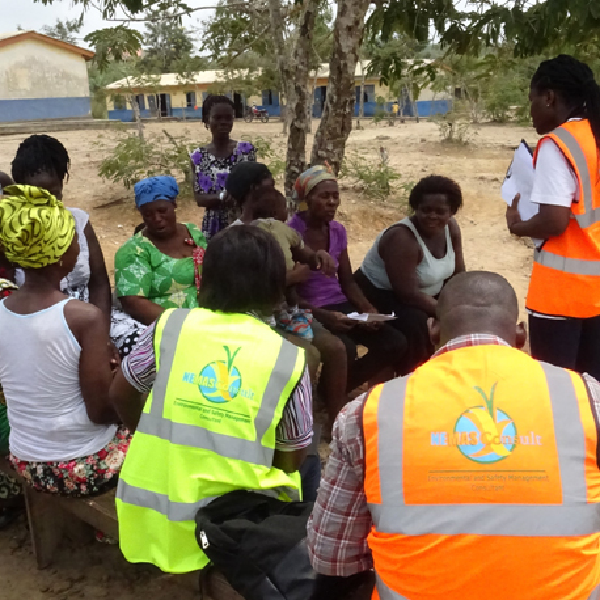 nemasconsult - Social and Community Development & Sustainability