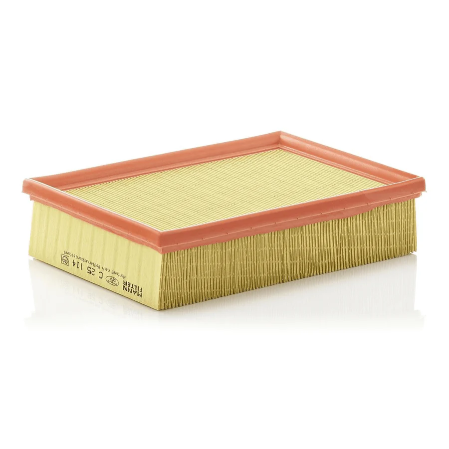 Mann Air Filter - C 25 114 (13721730449) | Genuine BMW Engine Protection | Auto Supply Ghana