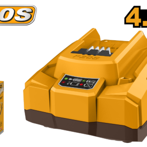 P20S High-Speed Battery Charger (21V, 4A)