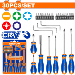 30-Piece Comprehensive Screwdriver and Bit Set