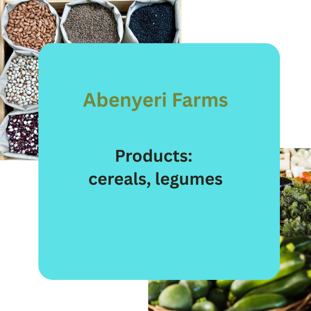 Abenyeri Farms – Premium Cereals & Legumes from Navro