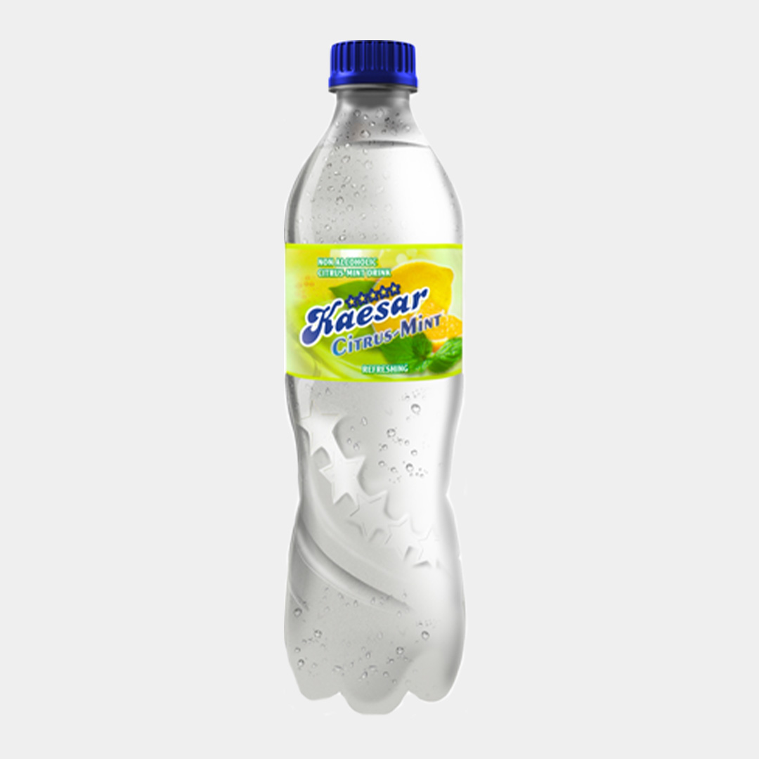 Kaesar Citrus-Mint Soft Drink – 300ml (12 Pack) | Zesty Citrus Meets Cool Mint for Ultimate Refreshment