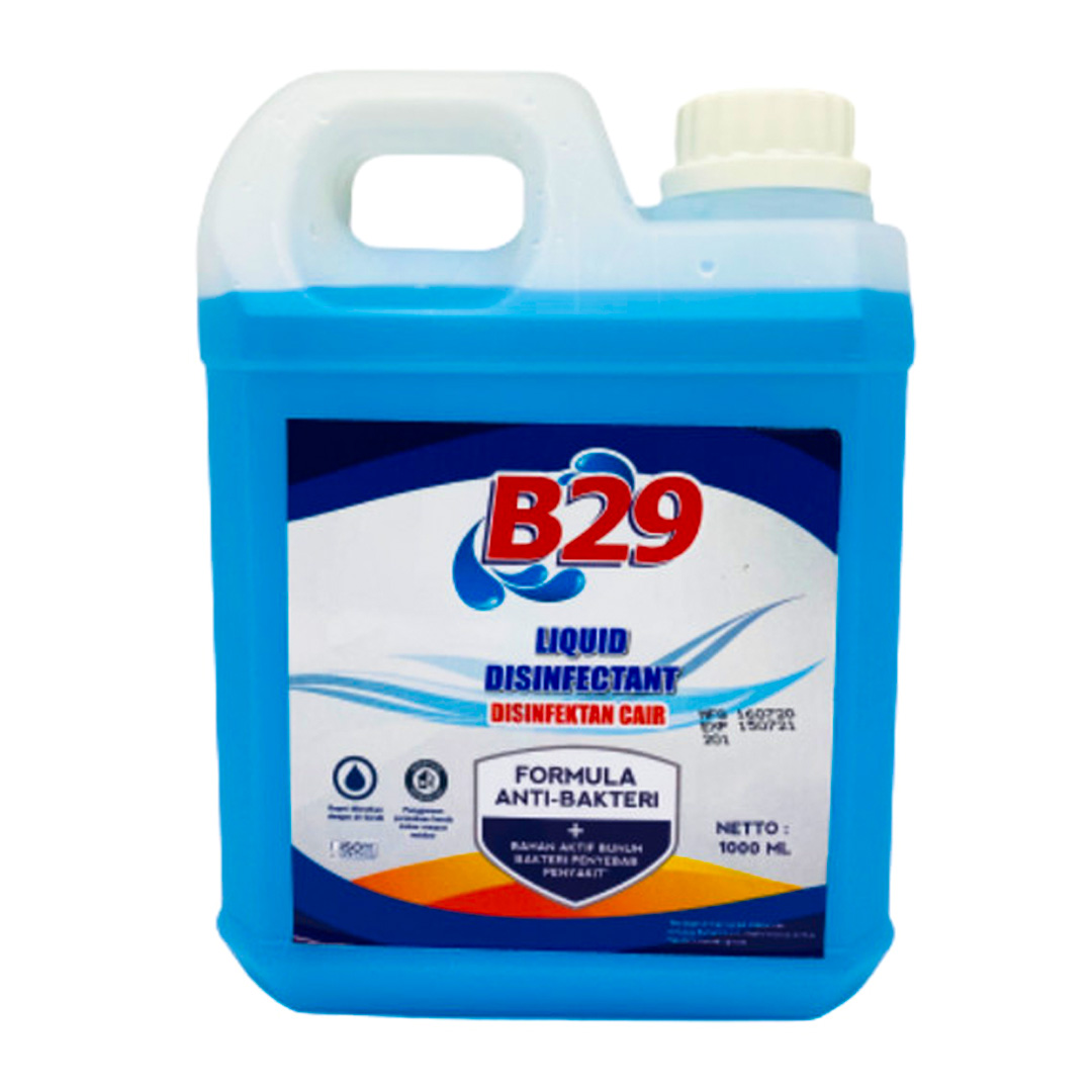 B29 Liquid Disinfectant – 800ml (6 Pack) | Effective & Reliable Sanitizing Solution