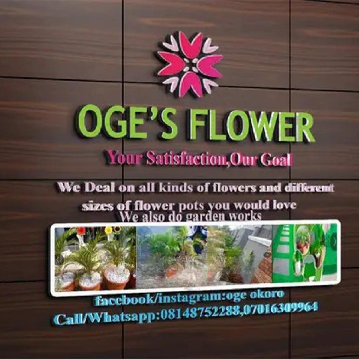 P.KAY - Graphic Designing/Logo,Flyer, Banner, Business Card Designs