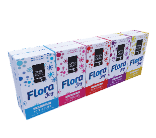 Lesfam – Flora Pocket Tissue (1 x 10 x 30) | 2-Ply, Super Soft & Absorbent