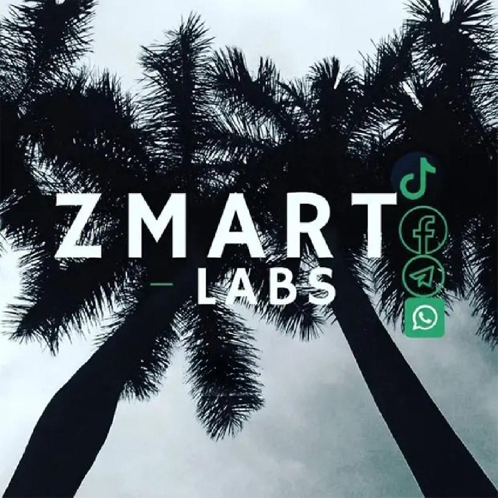 Zmart - GANTT Chart | Project Management | Thesis Timeline