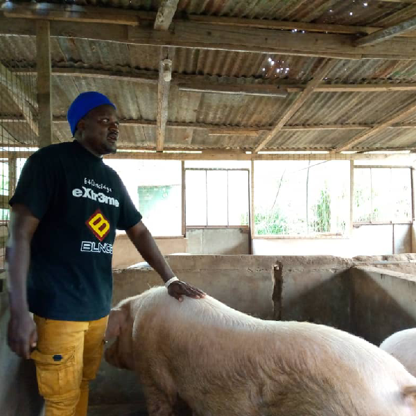 elitrust - Agribusiness Development