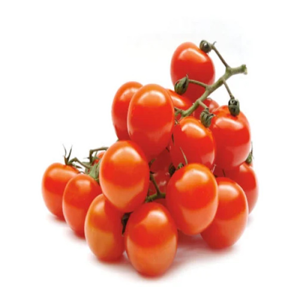 Fresh Tomatoes – Supplied by Dujis