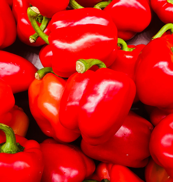 Red Pepper – Supplied by Dujis