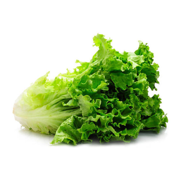 Dujis – Lettuce (Pack)