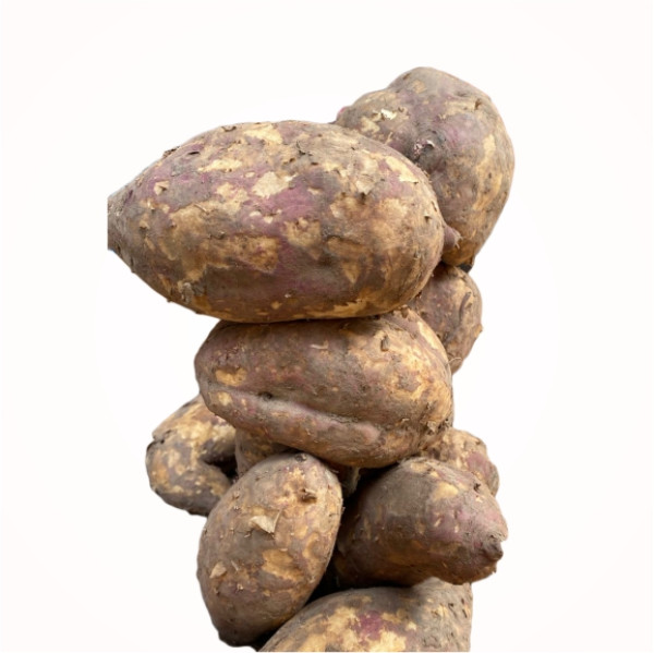 Dujis – Sweet Potato