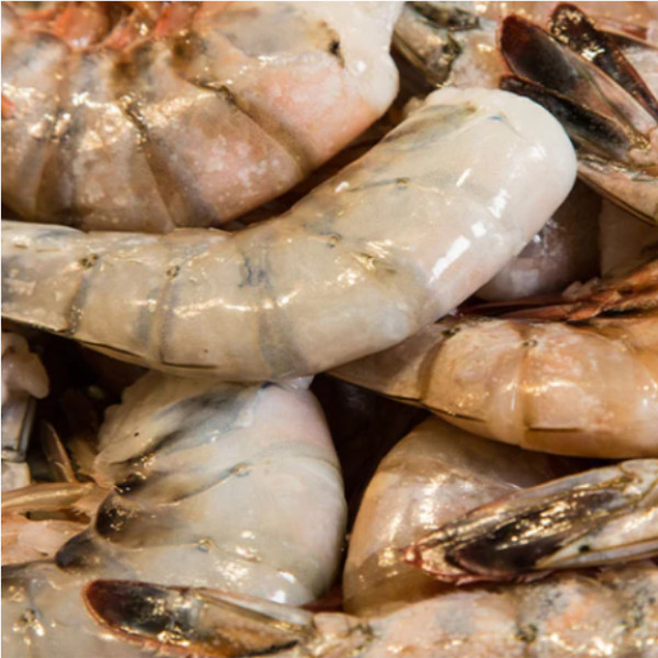Fresh Prawns – Ocean-Caught, Sweet & Tender Seafood for Grilling, Stir-Fries & More