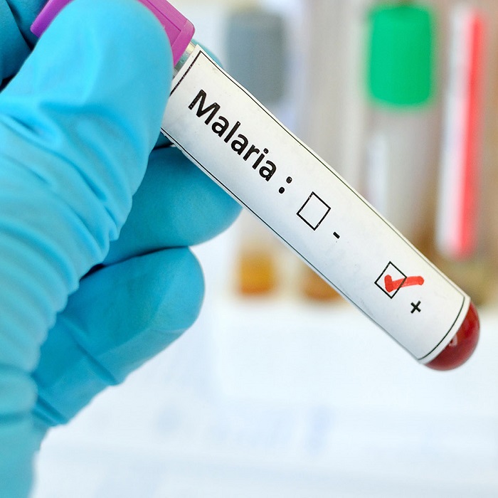 Dlabs - B/f for Malaria Parasites