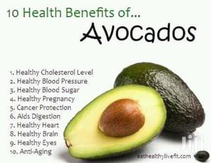 Feurte Avocado Seedlings - Grafted Early & Late Season Varieties