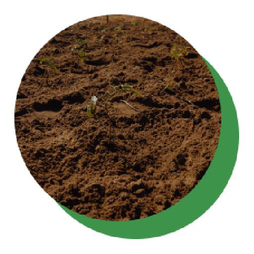 Soil Fertility