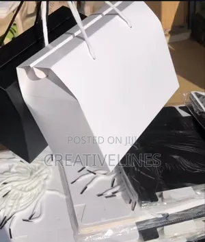 Plain Kraft Box Bags - Eco-Friendly Retail & Gift Packaging