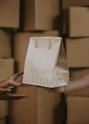 Brown Paper Bags in a Box Packaging