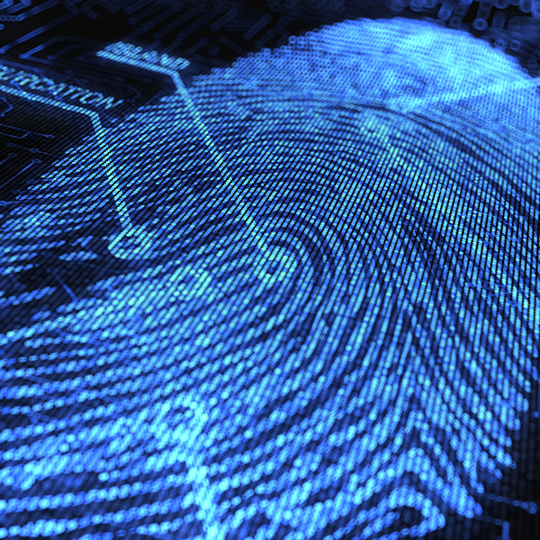 sommfasoconsults - Forensic Investigation