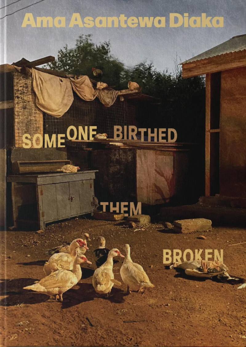 Someone Birthed Them Broken: Stories – A Contemporary Ghanaian Fiction Masterpiece by Ama Asantewa Diaka