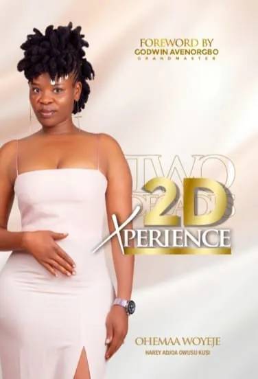 2D Experience – A 20-Year Memoir of Passion, Purpose, and Perseverance