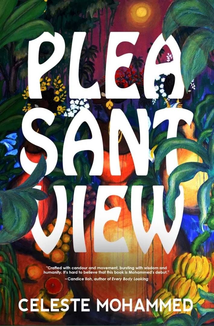 Pleasantview – A Darkly Comic and Unflinching Portrait of Trinidadian Life